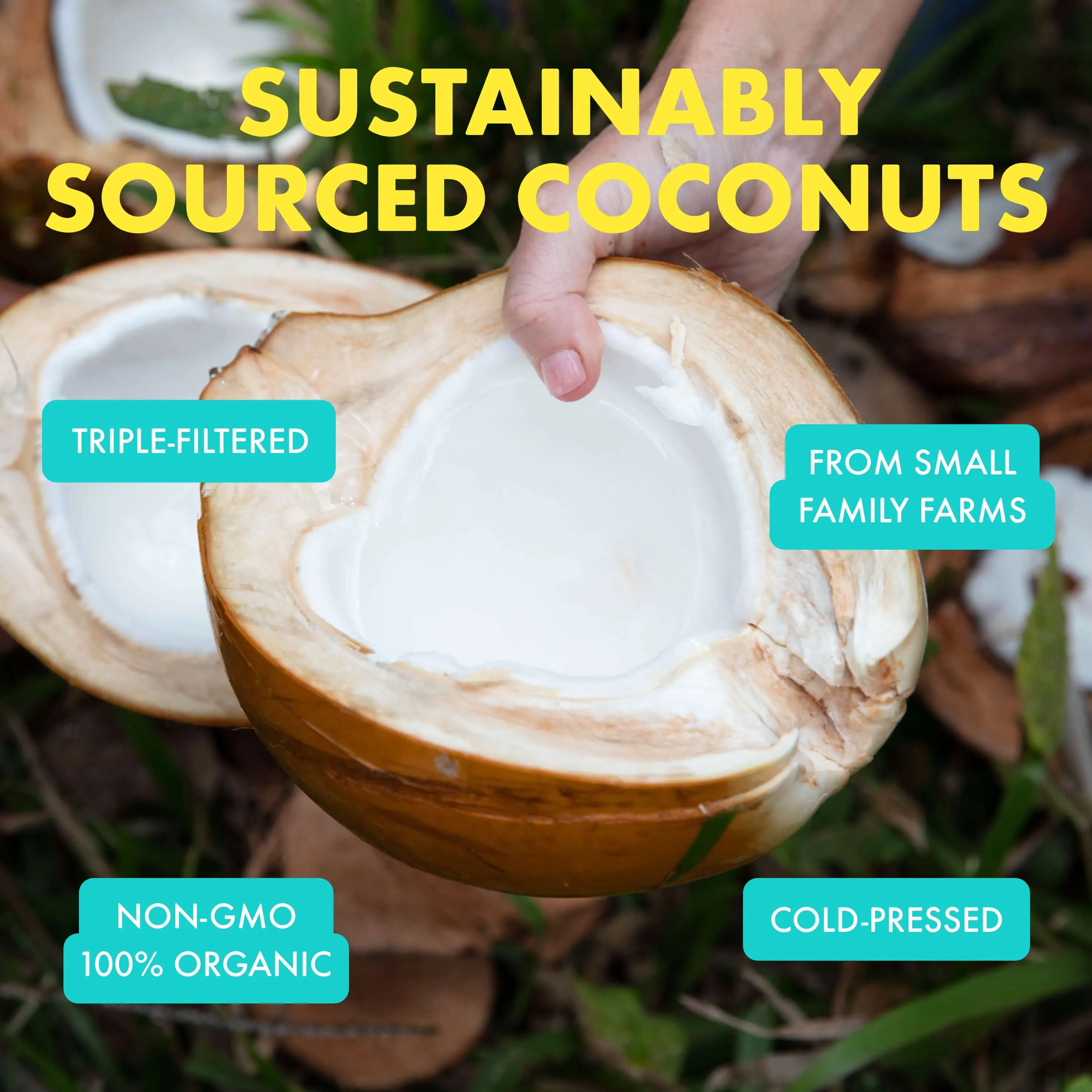 100% Organic Coconut Melt Refill