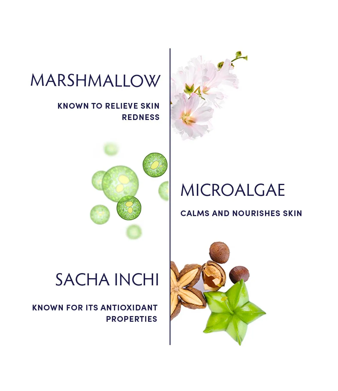 Marshmallow & Microalgae Sensitivity Soothing Crème